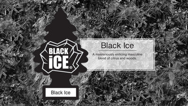 LITTLE TREES-Black Ice-1 piece